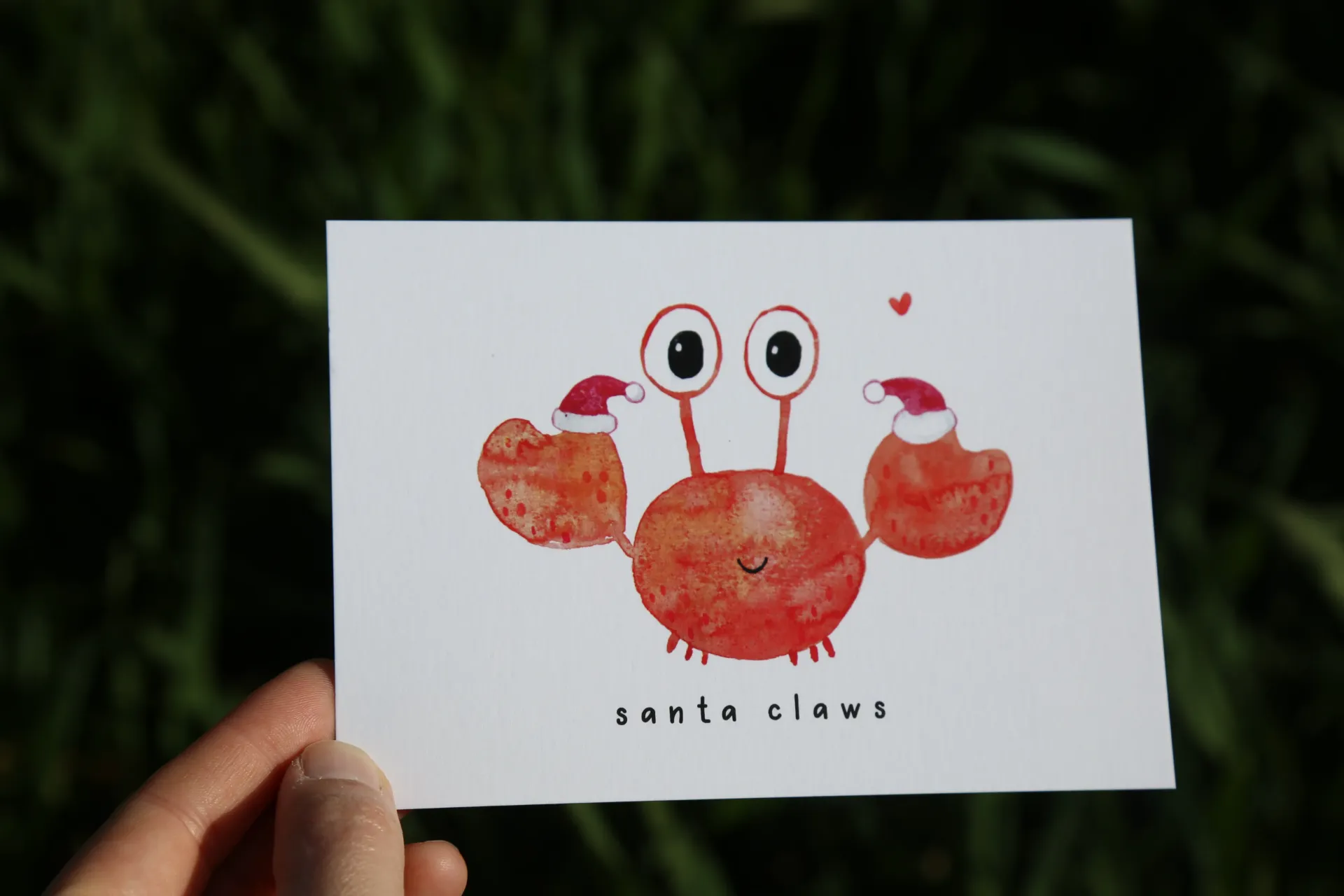 santa claws