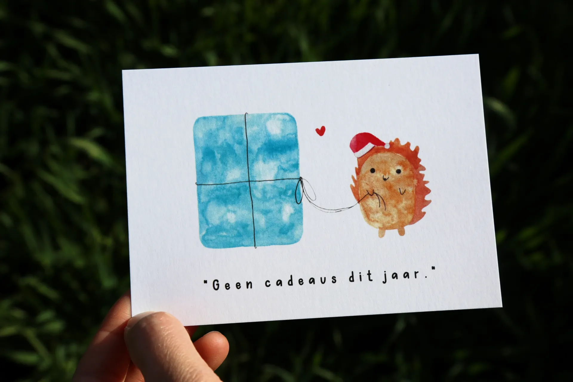 Geen cadeaus dit jaar.